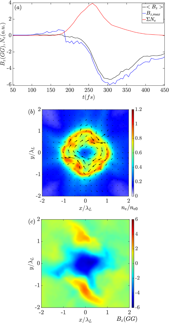 Magnetic field amplification driven by the gyro motion of charged particles  | Scientific Reports