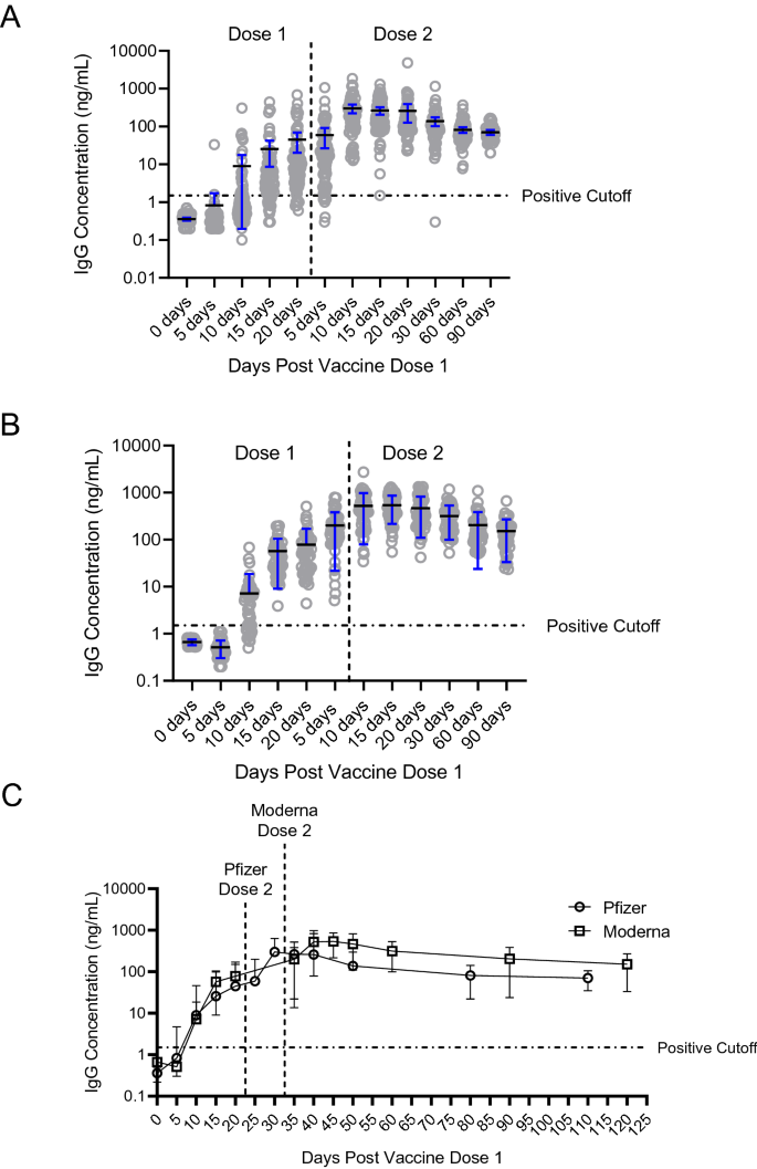 Igg Antibody Photos and Images & Pictures