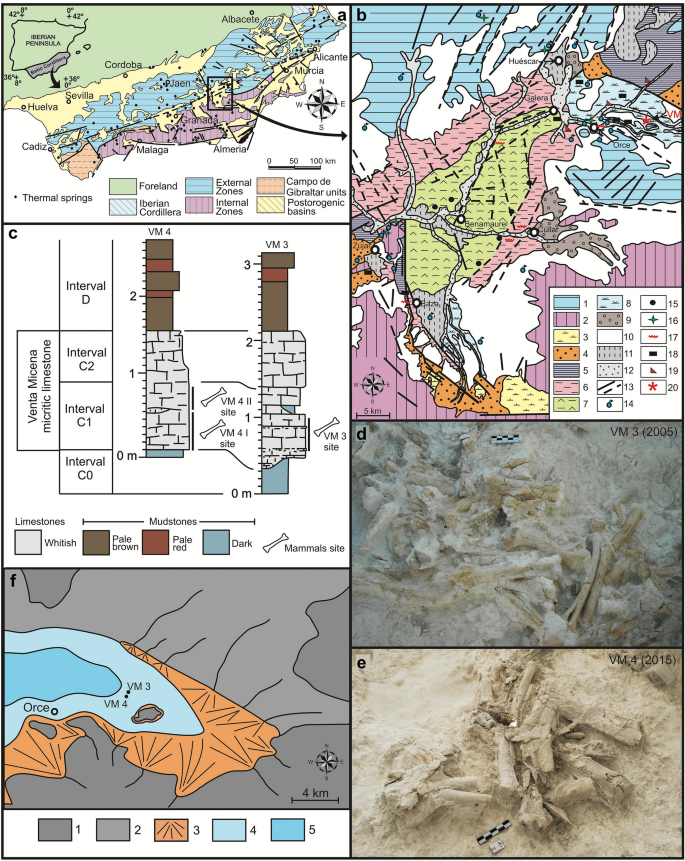 battery Chromatic Thorns Déjà vu: a reappraisal of the taphonomy of quarry VM4 of the Early  Pleistocene site of Venta Micena (Baza Basin, SE Spain) | Scientific Reports