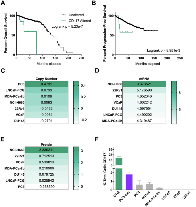 CD117/c-kit defines a prostate CSC-like subpopulation driving progression  and TKI resistance | Scientific Reports