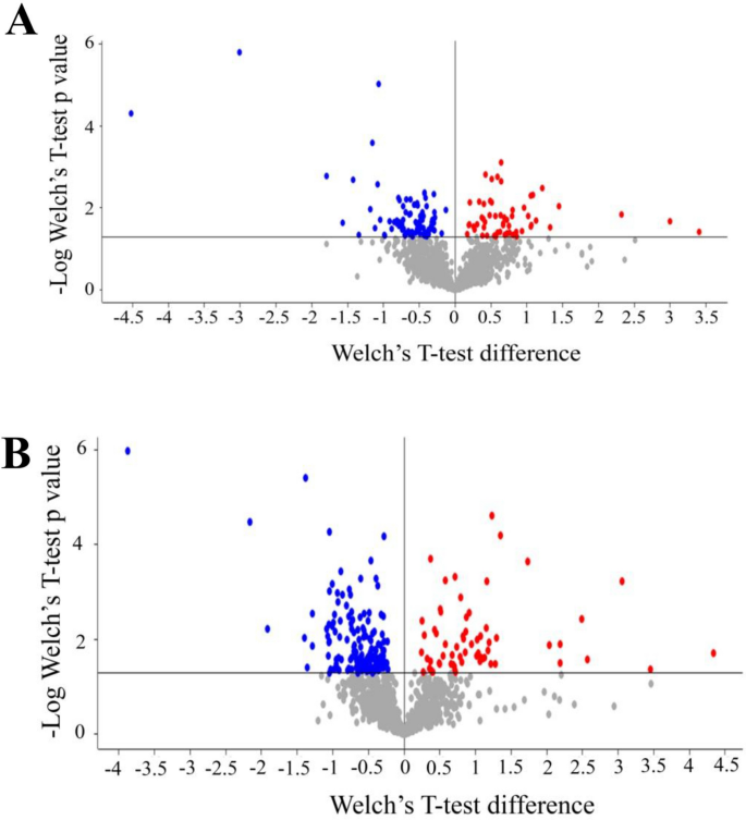 Acute Environmental Temperature Variation Affects Brain Protein Expression Anxiety And Explorative Behaviour In Adult Zebrafish Scientific Reports