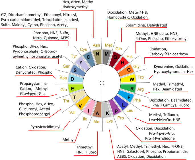 Proteome Wide Profiling And Mapping Of Post Translational Modifications In Human Hearts Scientific Reports