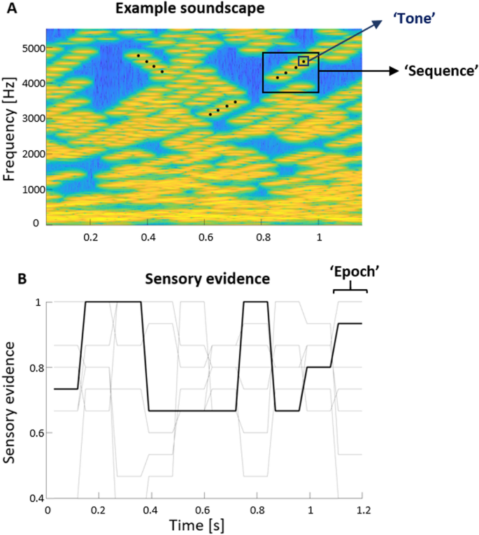Delta Theta Band Eeg Activity Shapes The Rhythmic Perceptual Sampling Of Auditory Scenes Scientific Reports Delta Theta Band Eeg Activity Shapes The Rhythmic Perceptual Sampling Of Auditory Scenes Scientific Reports