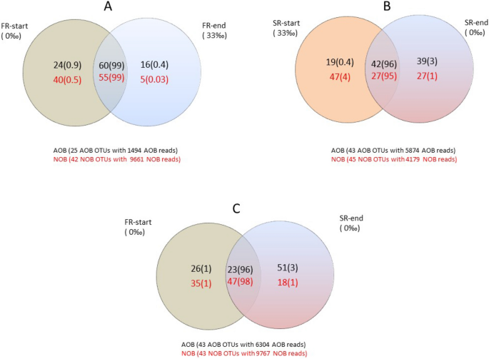 Understanding Structure Function Relationships In Nitrifying Microbial Communities After Cross Transfer Between Freshwater And Seawater Scientific Reports