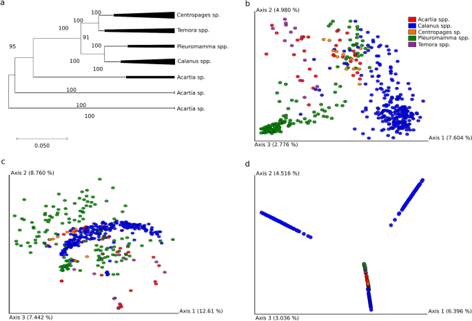 Meta Analysis Cum Machine Learning Approaches Address The Structure And Biogeochemical Potential Of Marine Copepod Associated Bacteriobiomes Scientific Reports