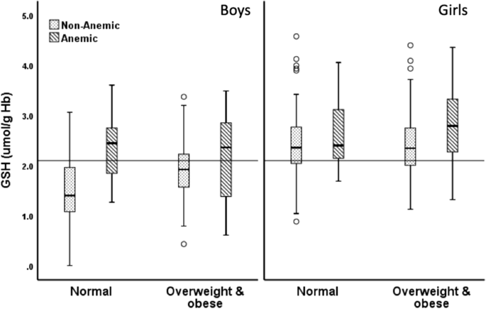 anemia glutathione metabolism A mathematical model of | Theoretical Biology and Medical Modelling Alterations in glutathione redox homeostasis