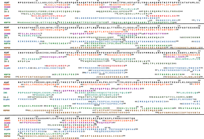 A Mutant A1antitrypsin In Complex With Heat Shock Proteins As The Primary Antigen In Type 1 Diabetes In Silico Investigation Scientific Reports