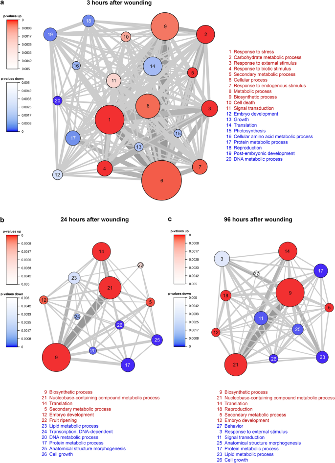 A Transcriptomic View To Wounding Response In Young Scots Pine Stems Scientific Reports A Transcriptomic View To Wounding Response In Young Scots Pine Stems Scientific Reports