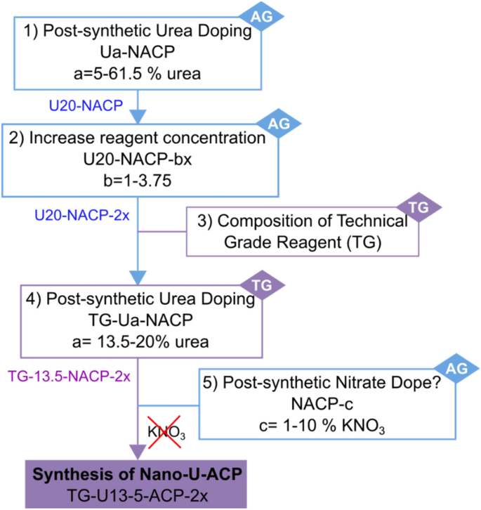 Urea Functionalized Amorphous Calcium Phosphate Nanofertilizers Optimizing The Synthetic Strategy Towards Environmental Sustainability And Manufacturing Costs Scientific Reports Urea Functionalized Amorphous Calcium Phosphate Nanofertilizers Optimizing The Synthetic Strategy Towards Environmental Sustainability And Manufacturing Costs Scientific Reports