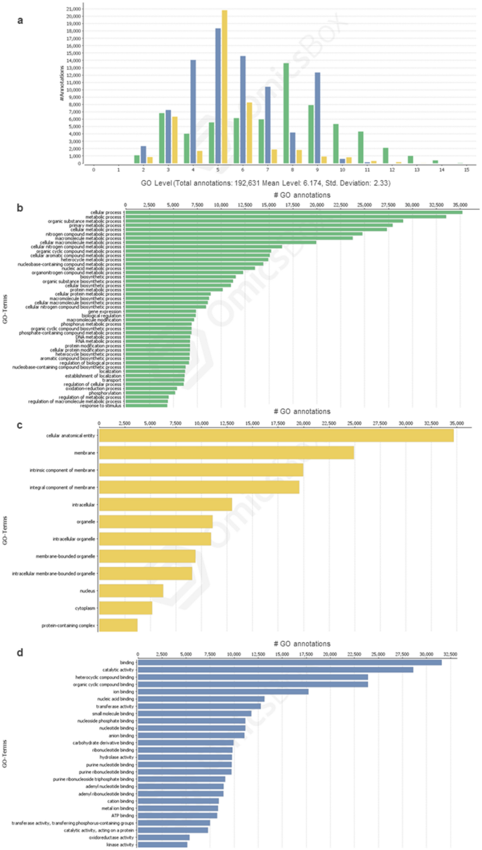 De novo assembly and characterization of the first draft genome of quince  (Cydonia oblonga Mill.) | Scientific Reports