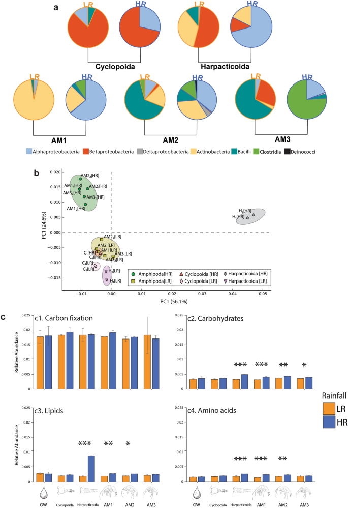 Rainfall As A Trigger Of Ecological Cascade Effects In An Australian Groundwater Ecosystem Scientific Reports