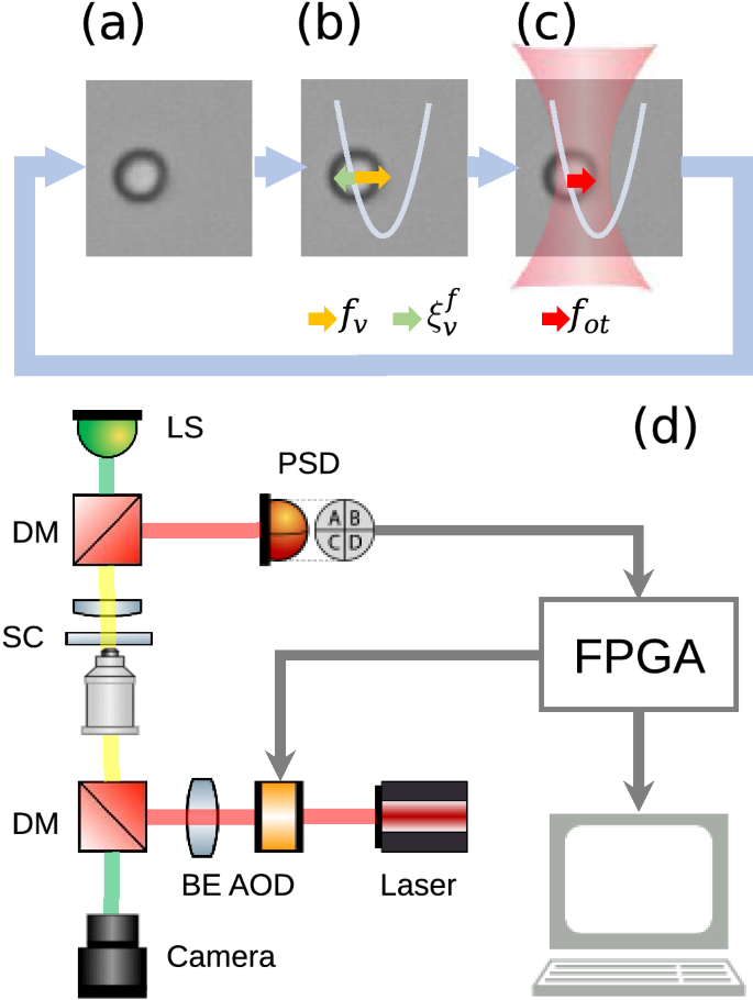 Shift A Laser Beam Back And Forth To Exchange Heat And Work In Thermodynamics Scientific Reports