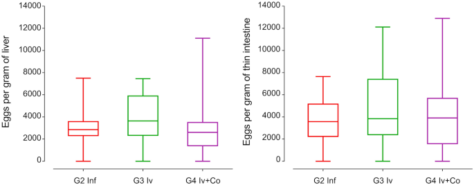 The Effect Of Ivermectin Alone And In Combination With Cobicistat Or Elacridar In Experimental Schistosoma Mansoni Infection In Mice Scientific Reports