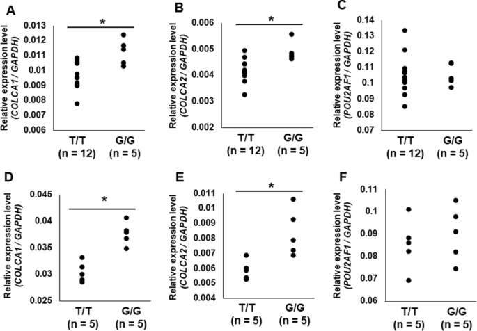 Rs On Chromosome 11q23 1 And Its Effector Genes Colca1 Colca2 Confer Susceptibility To Primary Biliary Cholangitis Scientific Reports