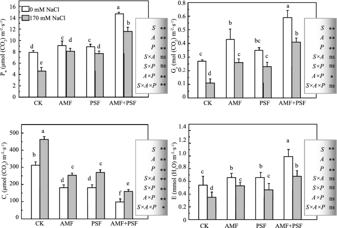 figure2