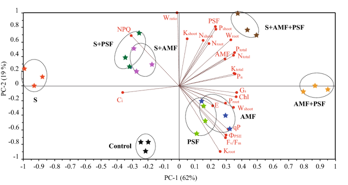 figure4