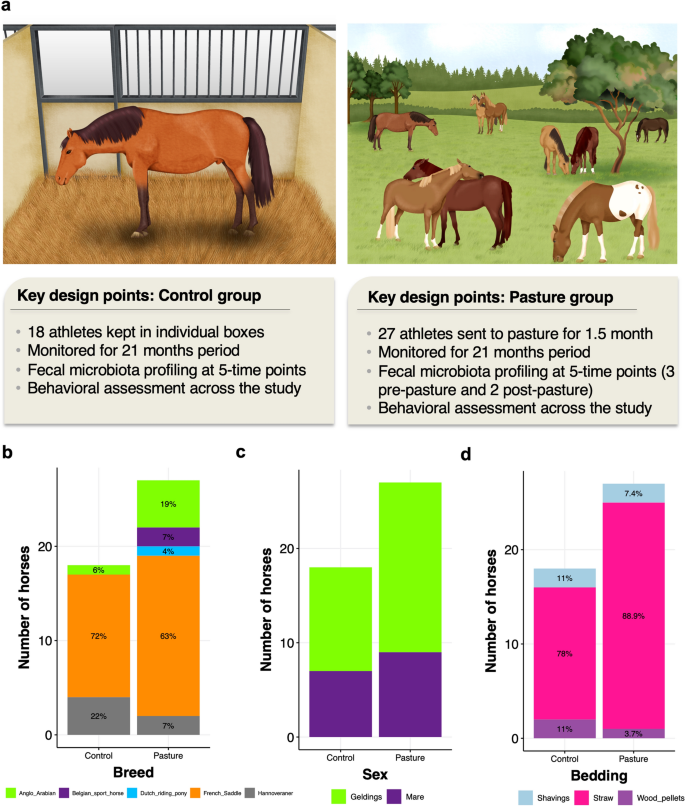 Gut microbiota resilience in horse athletes following holidays out to pasture Scientific Reports pic