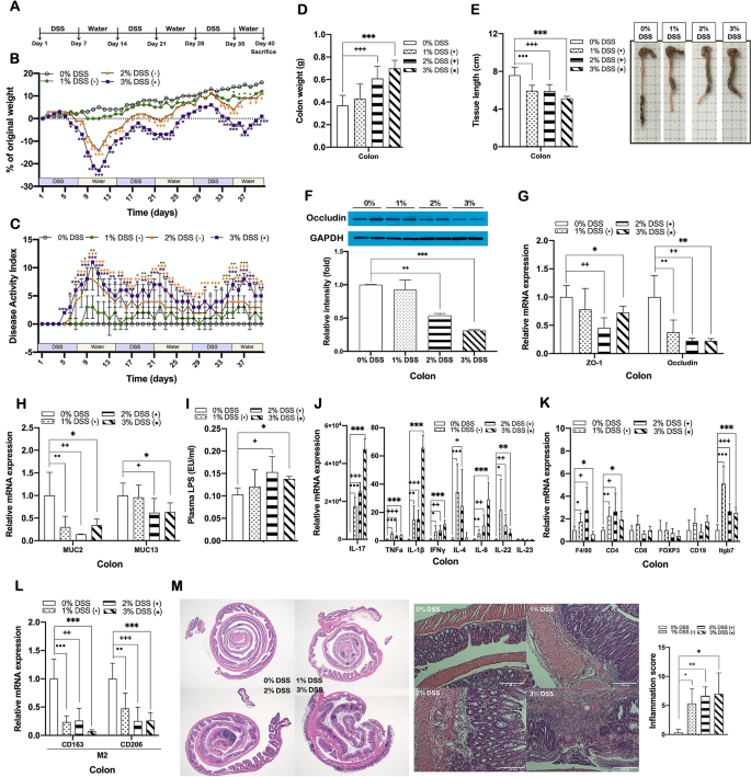 Catastrophe Secrete Self-respect DSS-induced colitis is associated with adipose tissue dysfunction and  disrupted hepatic lipid metabolism leading to hepatosteatosis and  dyslipidemia in mice | Scientific Reports