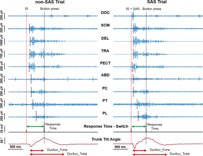 Assessment Of Trunk Flexion In Arm Reaching Tasks With Electromyography And Smartphone Accelerometry In Healthy Human Subjects Scientific Reports