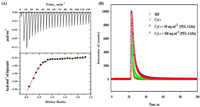Interaction Of Polyethylene Glycol With Cytochrome C Investigated Via In Vitro And In Silico Approaches Scientific Reports Interaction Of Polyethylene Glycol With Cytochrome C Investigated Via In Vitro And In Silico Approaches Scientific Reports