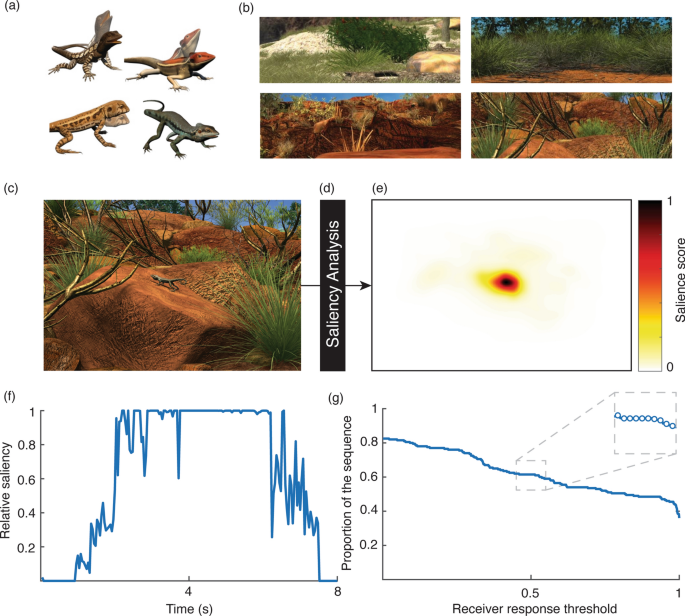 Simulations With Australian Dragon Lizards Suggest Movement Based Signal Effectiveness Is Dependent On Display Structure And Environmental Conditions Scientific Reports