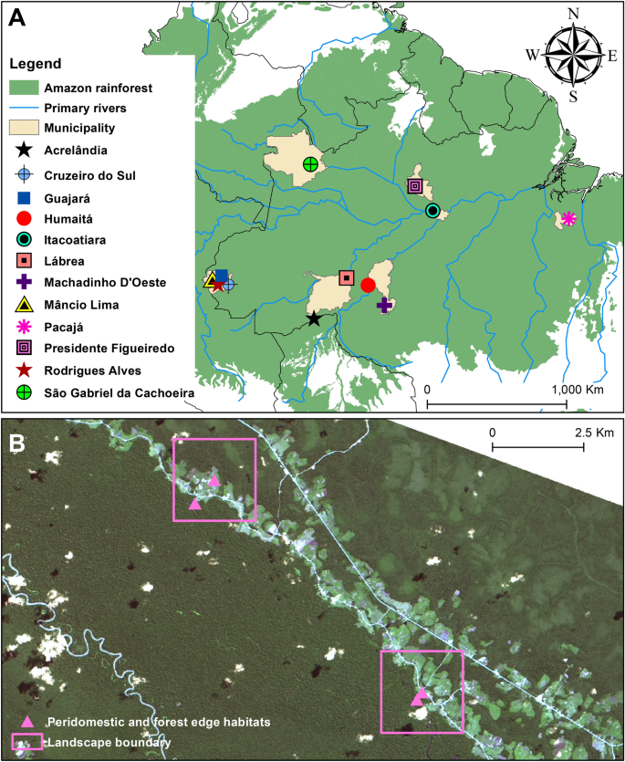 Malaria transmission in landscapes with varying deforestation levels and  timelines in the Amazon: a longitudinal spatiotemporal study | Scientific  Reports