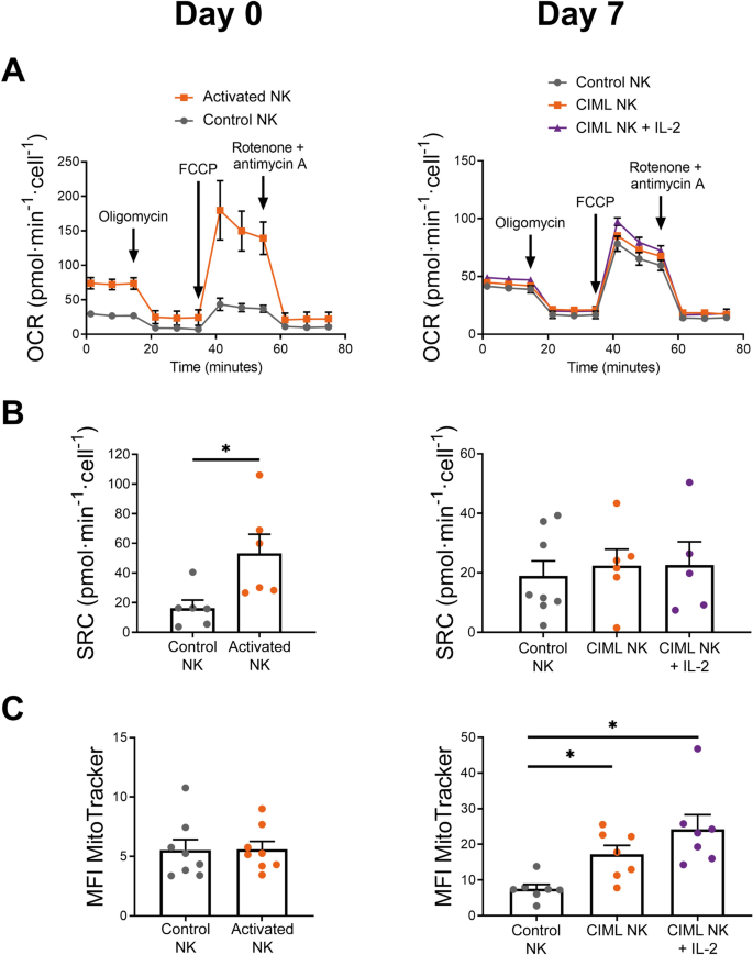 Metabolic Changes Of Interleukin 12 15 18 Stimulated Human Nk Cells Scientific Reports Metabolic Changes Of Interleukin 12 15 18 Stimulated Human Nk Cells Scientific Reports