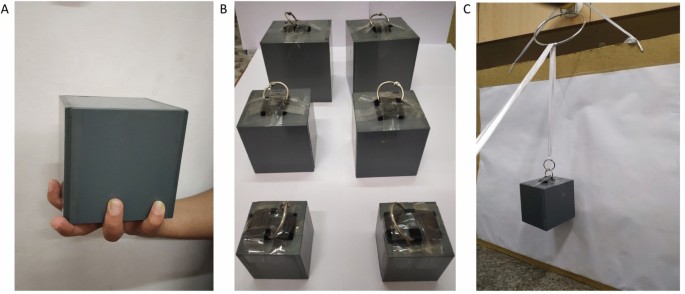 size weight illusion experiment figure 1
