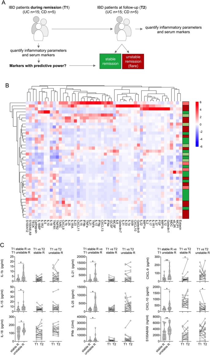 Serum Biomarkers Confirming Stable Remission In Inflammatory Bowel Disease Scientific Reports