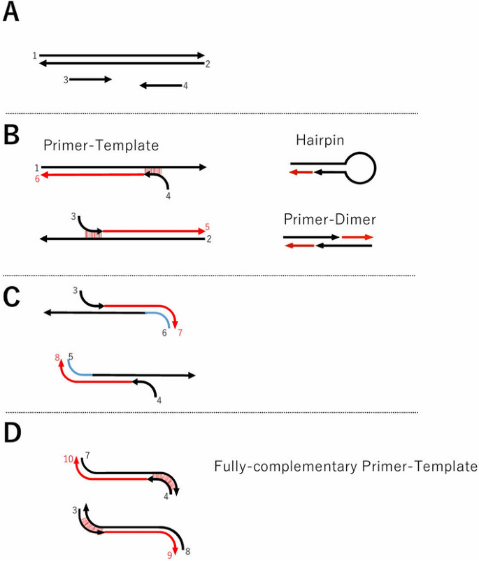 Prediction of PCR amplification from primer and template sequences using  recurrent neural network | Scientific Reports