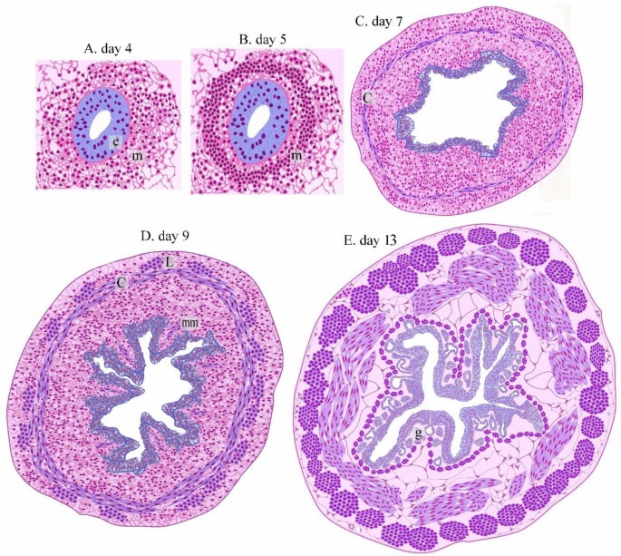 figure 15