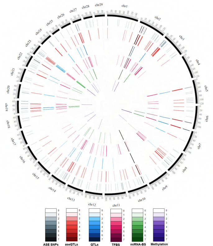 Muscle Allele Specific Expression Qtls May Affect Meat Quality Traits In Bos Indicus Scientific Reports Muscle Allele Specific Expression Qtls May Affect Meat Quality Traits In Bos Indicus Scientific Reports