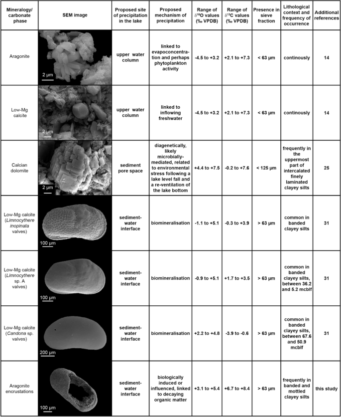Coeval primary and diagenetic carbonates in lacustrine sediments challenge  palaeoclimate interpretations | Scientific Reports