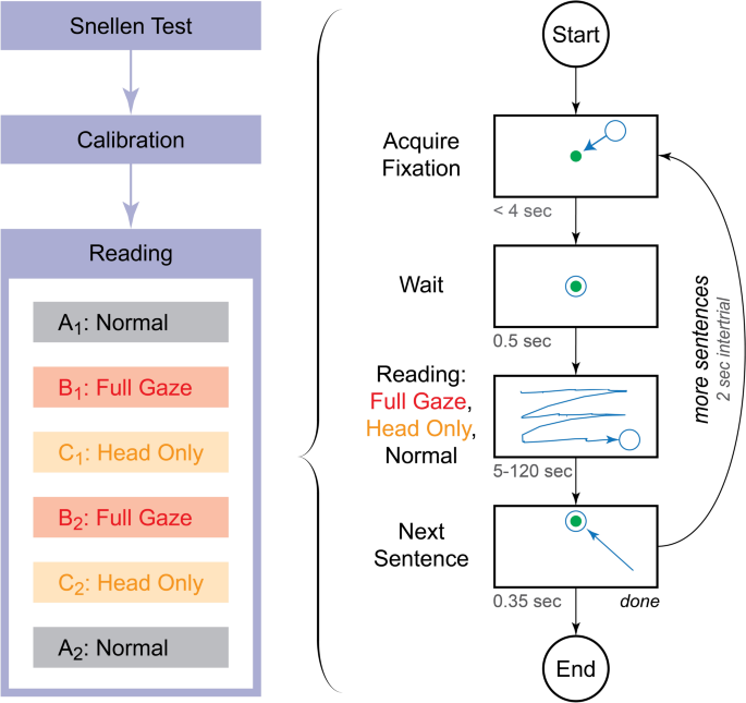 Full Gaze Contingency Provides Better Reading Performance Than Head Steering Alone In A Simulation Of Prosthetic Vision Scientific Reports Full Gaze Contingency Provides Better Reading Performance Than Head Steering Alone In A Simulation Of Prosthetic Vision Scientific Reports