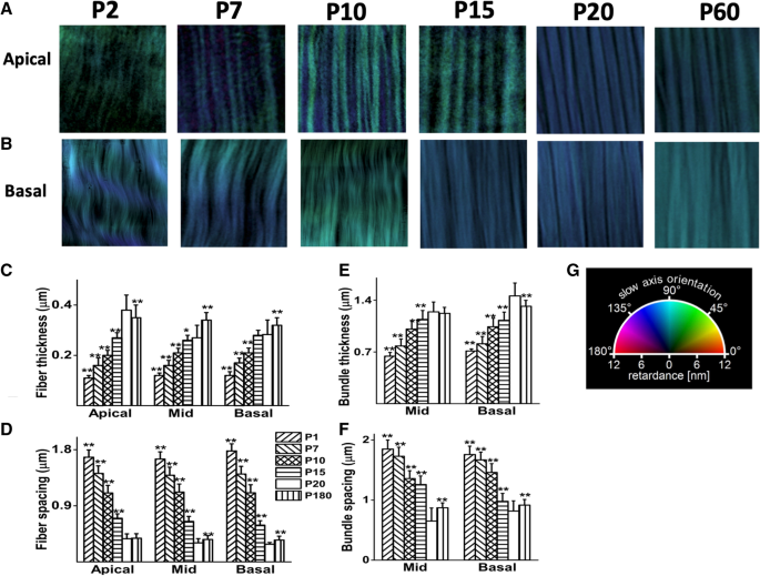 figure2