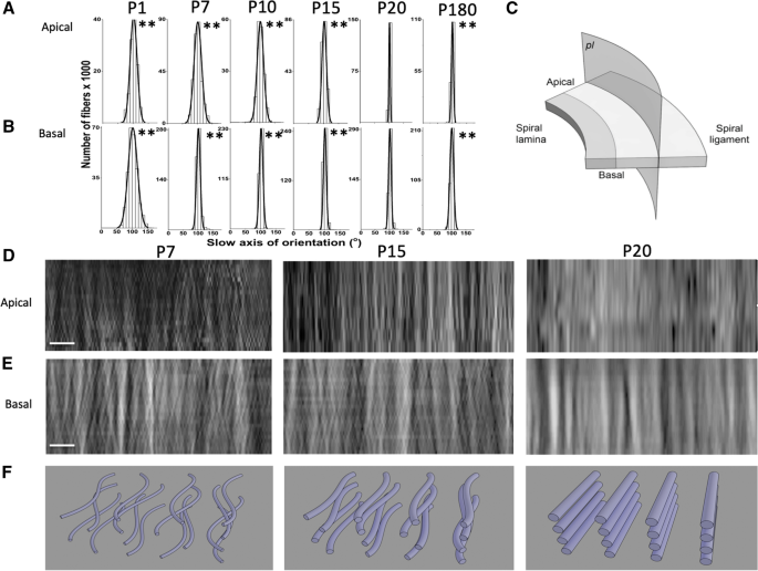 figure3