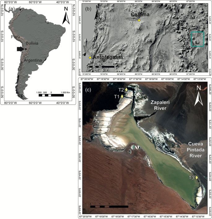 Limnological response from high-altitude wetlands to the water supply in  the Andean Altiplano | Scientific Reports