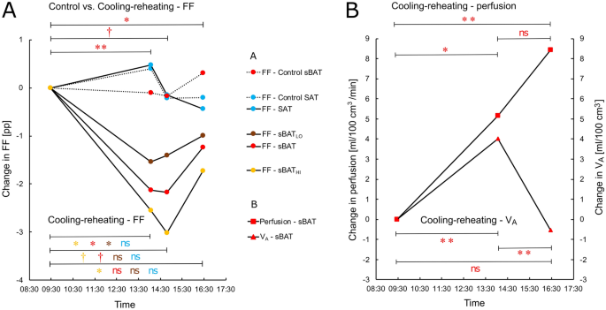 Pet Mri Of Glucose Metabolic Rate Lipid Content And Perfusion In Human Brown Adipose Tissue Scientific Reports