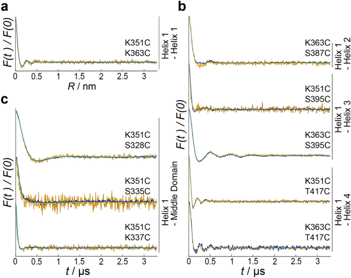 Deciphering Molecular Details Of The Rac Ribosome Interaction By Epr Spectroscopy Scientific Reports
