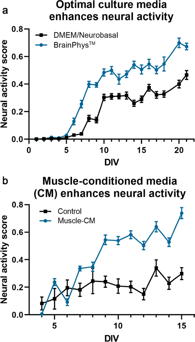 Development of an objective index, neural activity score (NAS), reveals  neural network ontogeny and treatment effects on microelectrode arrays |  Scientific Reports