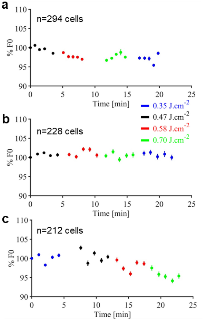 Two Photon Gcamp6f Imaging Of Infrared Neural Stimulation Evoked Calcium Signals In Mouse Cortical Neurons In Vivo Scientific Reports Two Photon Gcamp6f Imaging Of Infrared Neural Stimulation Evoked Calcium Signals In Mouse Cortical Neurons In Vivo Scientific Reports