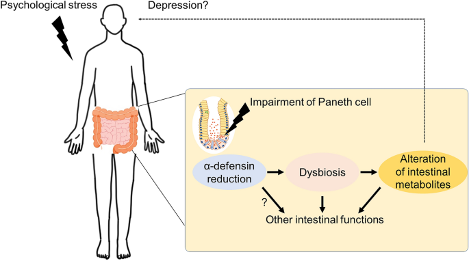 dysbiosis stress pancreatic cancer genetic