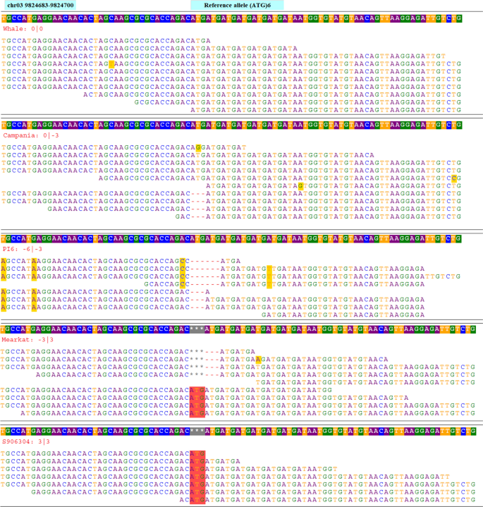 Genome-wide simple sequence repeats (SSR) markers discovered from  whole-genome sequence comparisons of multiple spinach accessions |  Scientific Reports