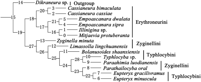 figure 9