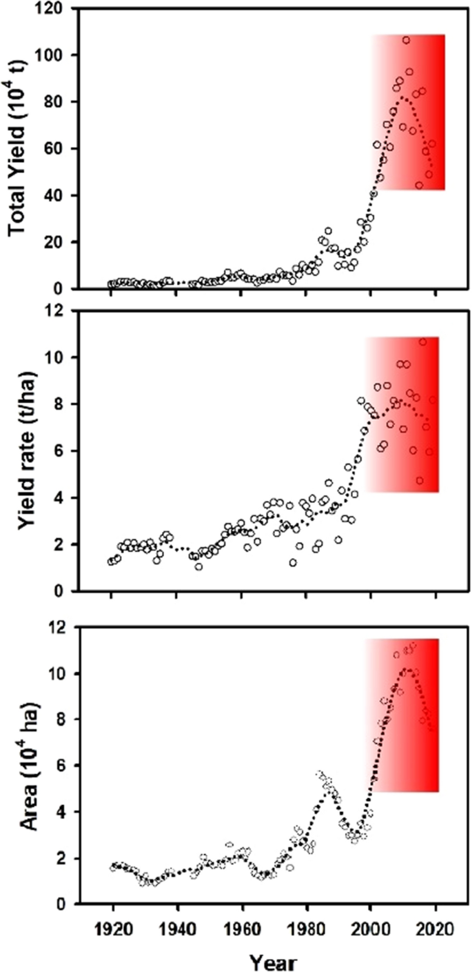 Influence of precipitation and temperature on maize production in the Czech  Republic from 2002 to 2019 | Scientific Reports