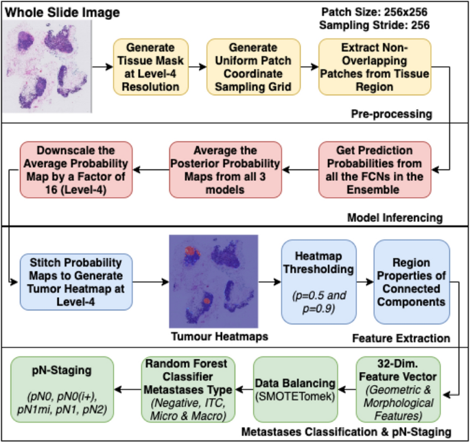 A Generalized Deep Learning Framework For Whole Slide Image Segmentation And Analysis Scientific Reports