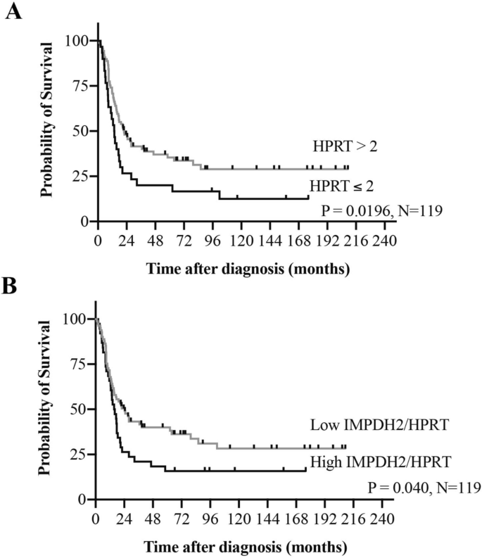 IMPDH2 and HPRT expression and a prognostic significance in preoperative  and postoperative patients with osteosarcoma | Scientific Reports