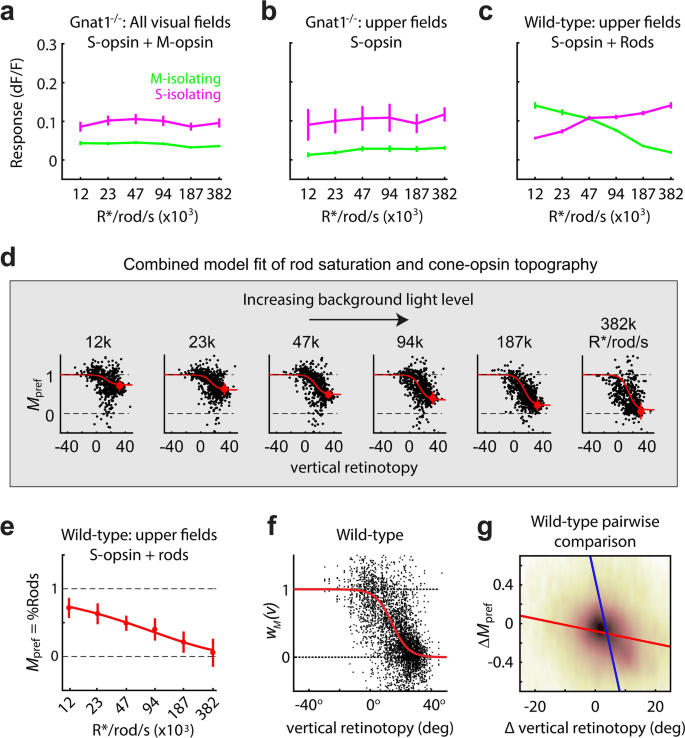 Variations In Photoreceptor Throughput To Mouse Visual Cortex And The Unique Effects On Tuning Scientific Reports Variations In Photoreceptor Throughput To Mouse Visual Cortex And The Unique Effects On Tuning Scientific Reports