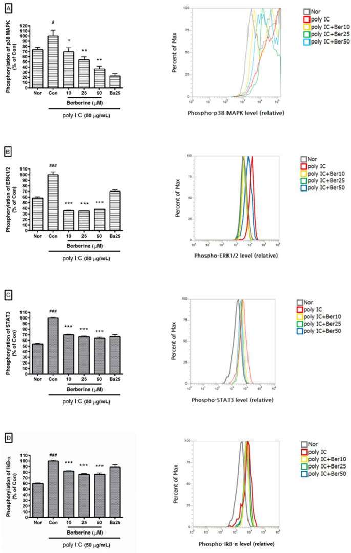 Berberine Modulates Hyper Inflammation In Mouse Macrophages Stimulated With Polyinosinic Polycytidylic Acid Via Calcium Chop Stat Pathway Scientific Reports Berberine Modulates Hyper Inflammation In Mouse Macrophages Stimulated With Polyinosinic Polycytidylic Acid Via Calcium Chop Stat Pathway Scientific Reports