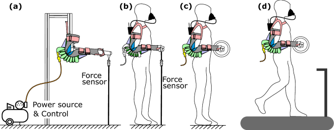 Soft Pneumatic Elbow Exoskeleton Reduces The Muscle Activity Metabolic Cost And Fatigue During Holding And Carrying Of Loads Scientific Reports Soft Pneumatic Elbow Exoskeleton Reduces The Muscle Activity Metabolic Cost And Fatigue During Holding And Carrying Of Loads Scientific Reports